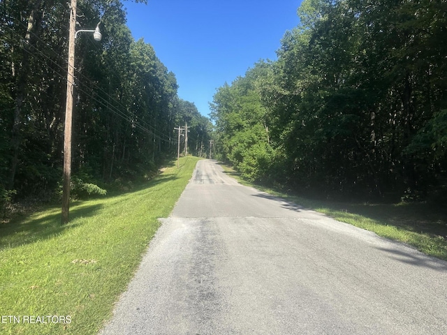 Renegade Mountain Pkwy, Crab Orchard, TN 37723 - photo 2