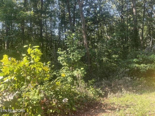 Renegade Mountain Pkwy, Crab Orchard, TN 37723 - photo 5