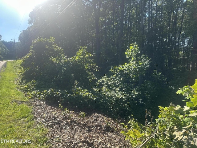Renegade Mountain Pkwy, Crab Orchard, TN 37723 - photo 6