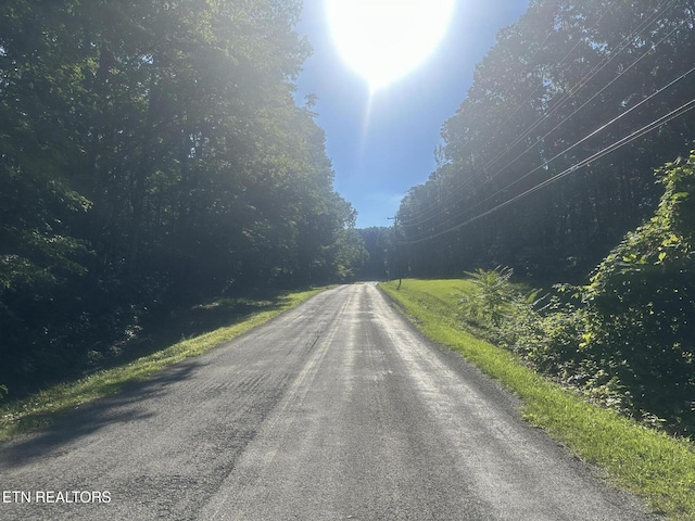 Renegade Mountain Pkwy, Crab Orchard, TN 37723 - photo 7