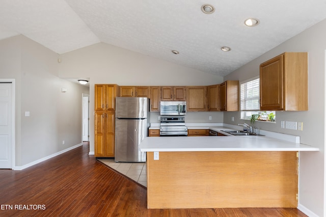 541 Pebble Creek Rd, Knoxville, TN 37918 - kitchen with stainless steel appliances, a peninsula, light countertops, light wood finished floors, and lofted ceiling