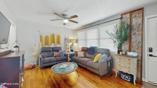 3106 Boright Dr, Knoxville, TN 37917 - photo 3