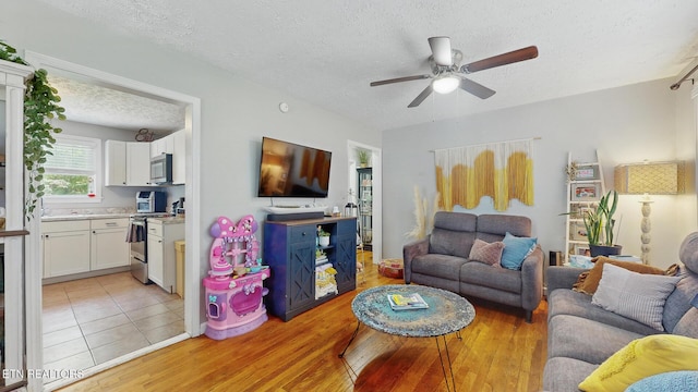3106 Boright Dr, Knoxville, TN 37917 - photo 4