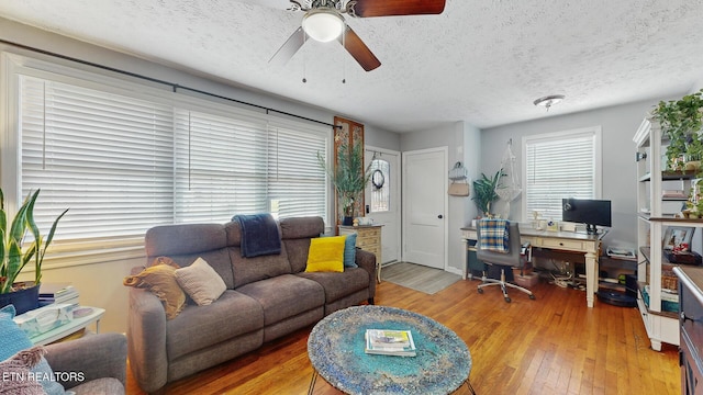 3106 Boright Dr, Knoxville, TN 37917 - photo 5