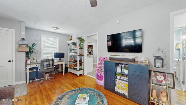 3106 Boright Dr, Knoxville, TN 37917 - photo 6