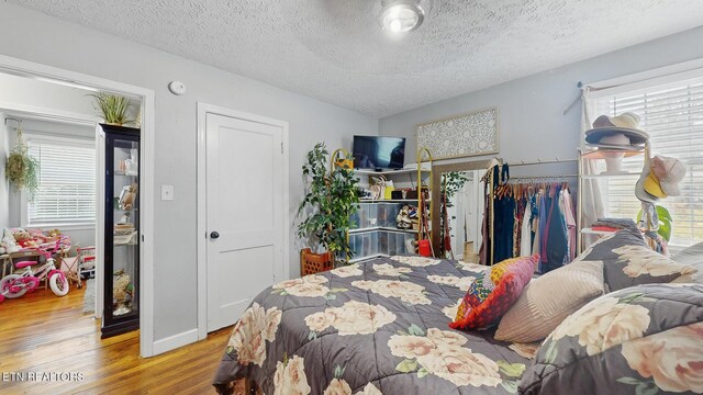 3106 Boright Dr, Knoxville, TN 37917 - photo 11