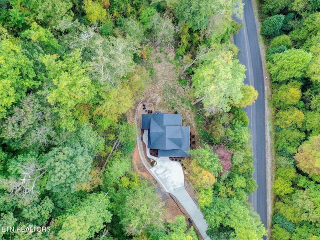 4317 Whetstone Rd, Sevierville, TN 37862 - view of property location