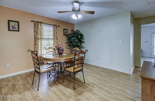 1715 N Parkridge Dr, Knoxville, TN 37924 - photo 13