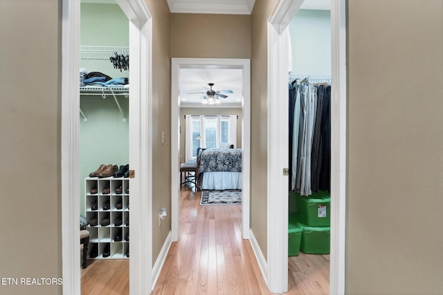 510 Argyle Way, Maryville, TN 37801 - corridor featuring light wood-style flooring and crown molding