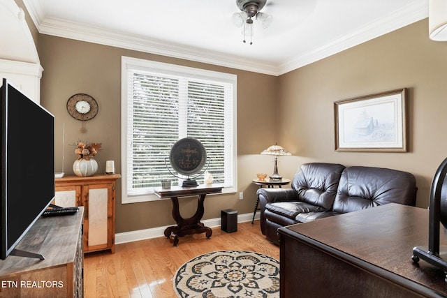 510 Argyle Way, Maryville, TN 37801 - office featuring light wood-style floors, ornamental molding, and a ceiling fan