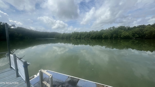 1843 River Vista Cir, Sevierville, TN 37876 - dock area featuring a water view and a wooded view