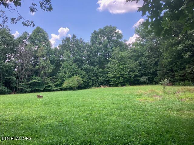 4016 Retro Hughes Rd, Graysville, TN 37338 - view of grassy yard featuring a forest view