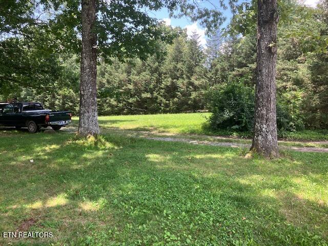 4016 Retro Hughes Rd, Graysville, TN 37338 - view of grassy yard featuring a view of trees