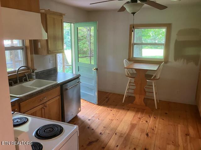 4016 Retro Hughes Rd, Graysville, TN 37338 - kitchen with dishwasher, electric range, plenty of natural light, and light wood-style flooring