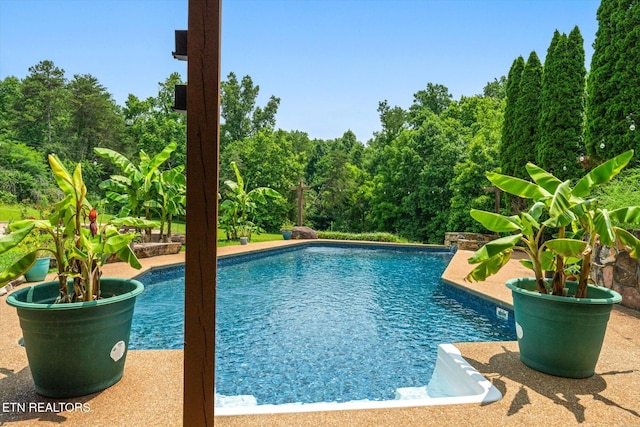 171 Wrenwood Way, Greenback, TN 37742 - view of outdoor pool