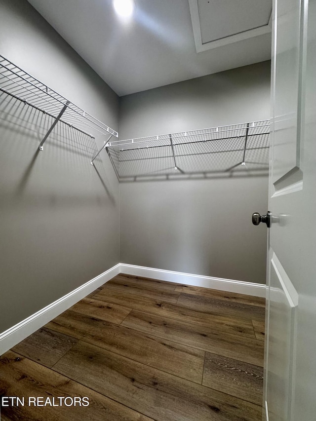 408 Luttrell Rd, Maynardville, TN 37807 - spacious closet featuring dark wood-type flooring