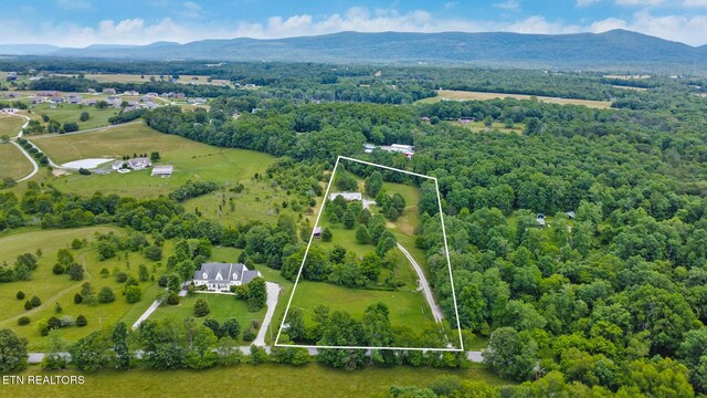 627 Clint Lowe Rd, Crossville, TN 38572 - photo 11