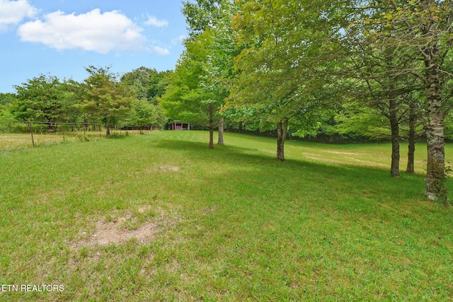 627 Clint Lowe Rd, Crossville, TN 38572 - photo 4