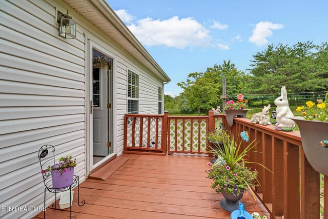 627 Clint Lowe Rd, Crossville, TN 38572 - photo 16