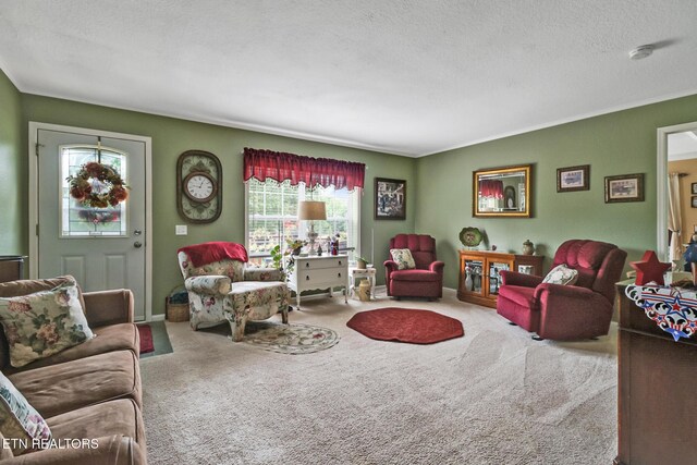 627 Clint Lowe Rd, Crossville, TN 38572 - photo 20