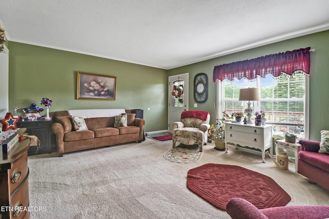 627 Clint Lowe Rd, Crossville, TN 38572 - photo 21