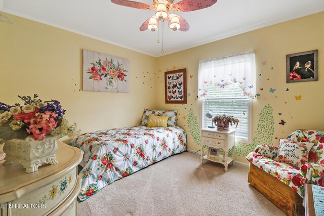627 Clint Lowe Rd, Crossville, TN 38572 - photo 27