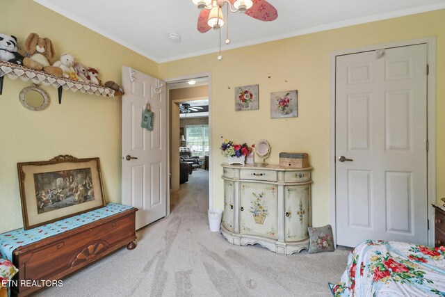 627 Clint Lowe Rd, Crossville, TN 38572 - photo 28