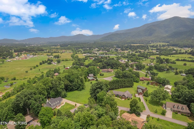 4040 Roundtop Dr, Sevierville, TN 37862 - bird's eye view of a mountain backdrop and a tree filled landscape