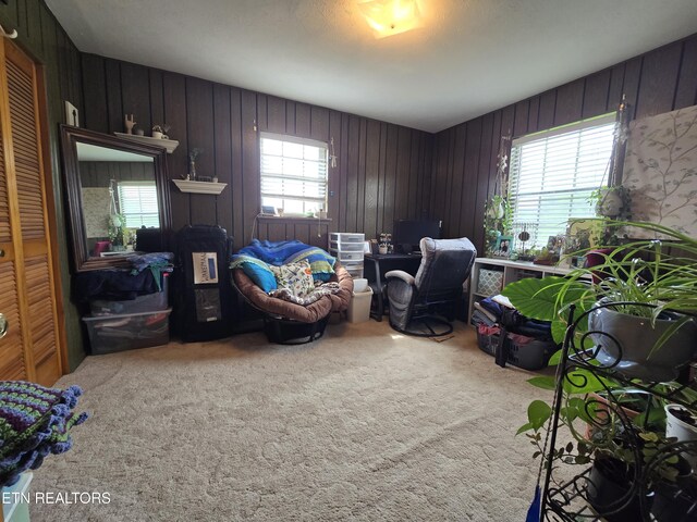 150 Kincaid Rd, Harrogate, TN 37752 - photo 15