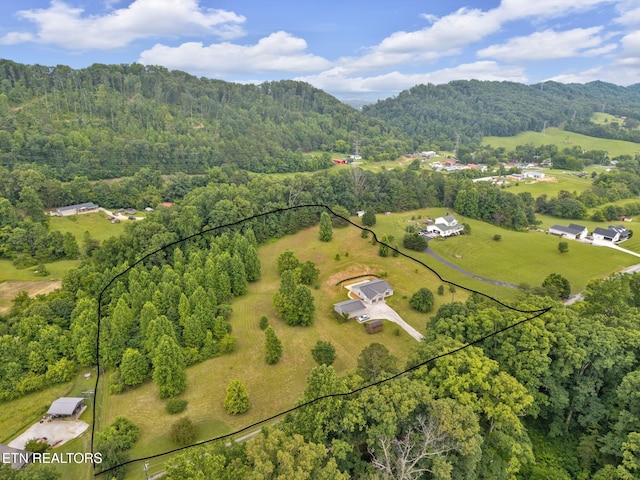 8040 Walt Way, Corryton, TN 37721 - photo 32