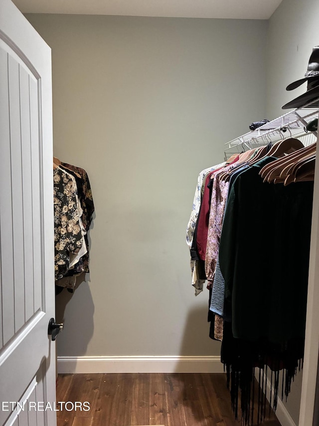 257 Holt Ridge Rd, Tazewell, TN 37879 - spacious closet featuring dark wood-style floors