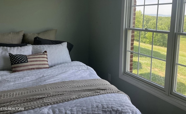257 Holt Ridge Rd, Tazewell, TN 37879 - view of bedroom