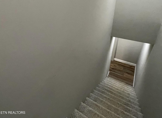 257 Holt Ridge Rd, Tazewell, TN 37879 - staircase with wood finished floors
