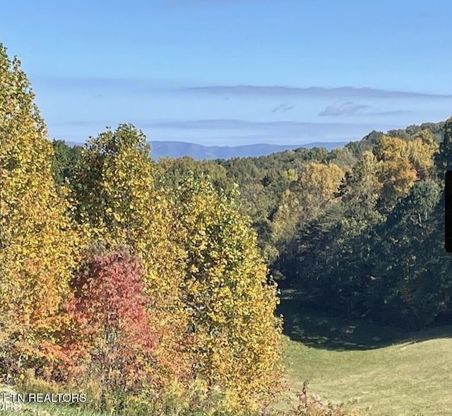 257 Holt Ridge Rd, Tazewell, TN 37879 - view of mountain backdrop featuring a heavily wooded area