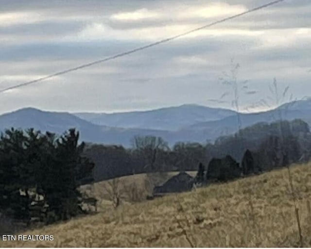 257 Holt Ridge Rd, Tazewell, TN 37879 - view of mountain backdrop
