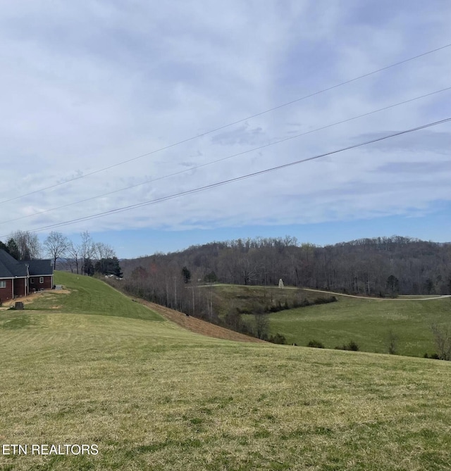 257 Holt Ridge Rd, Tazewell, TN 37879 - view of grassy yard featuring a view of countryside