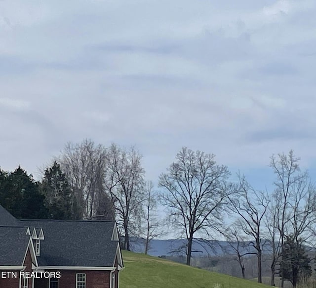 257 Holt Ridge Rd, Tazewell, TN 37879 - exterior view of a downspout, roof with shingles, and gutters