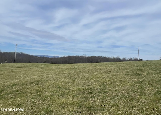 257 Holt Ridge Rd, Tazewell, TN 37879 - view of grassy yard featuring a rural view