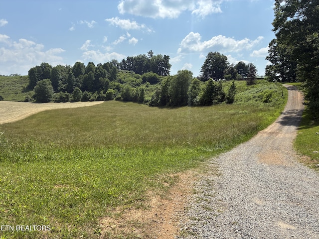 257 Holt Ridge Rd, Tazewell, TN 37879 - view of road