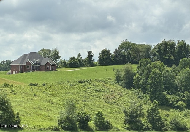257 Holt Ridge Rd, Tazewell, TN 37879 - view of green lawn
