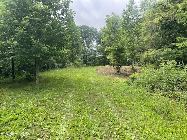 TBD Barker Rd, New Tazewell, TN 37825
