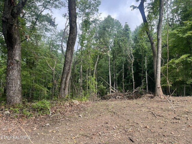 TBD Barker Rd, New Tazewell, TN 37825