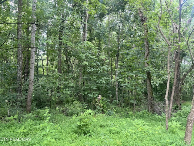 TBD Barker Rd, New Tazewell, TN 37825
