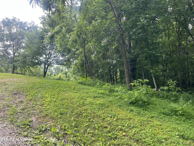 TBD Barker Rd, New Tazewell, TN 37825