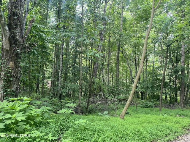 TBD Barker Rd, New Tazewell, TN 37825
