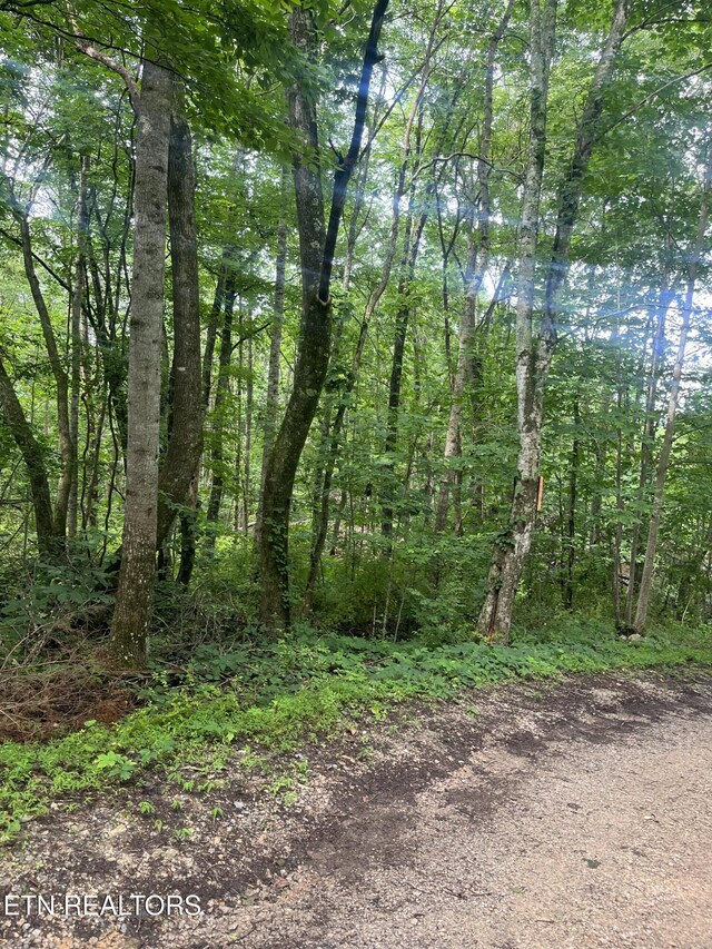 TBD Barker Rd, New Tazewell, TN 37825