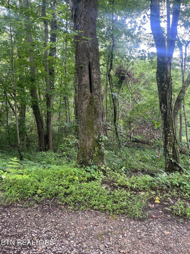 TBD Barker Rd, New Tazewell, TN 37825