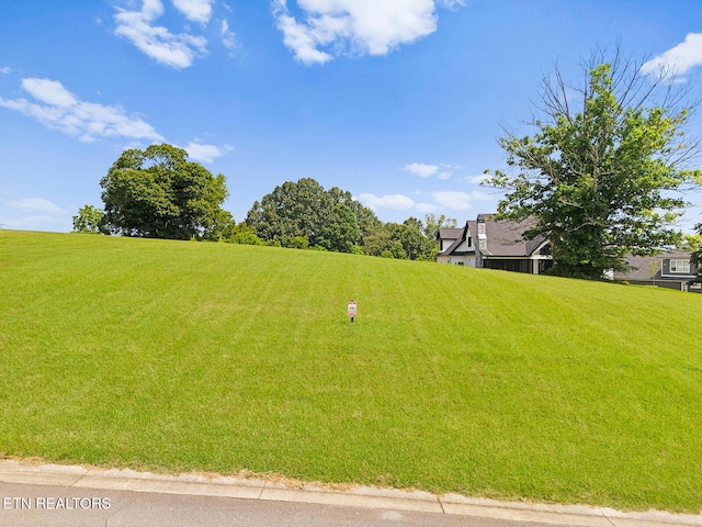 1740 Eagle Point Dr, Loudon, TN 37774 - photo 3