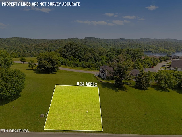 1740 Eagle Point Dr, Loudon, TN 37774 - photo 5