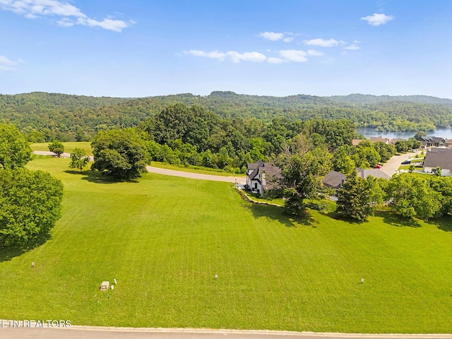 1740 Eagle Point Dr, Loudon, TN 37774 - photo 4